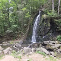 20260717_112334.jpg