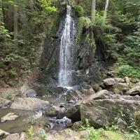 20260717_112647.jpg